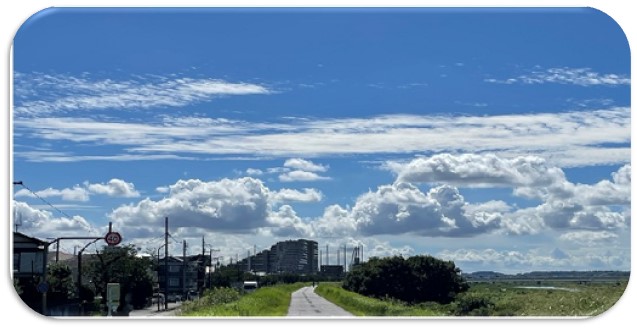 行なえること③専門職支援